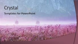  Presentation with foggy - Presentation theme enhanced with foggy meadow in the sunny background and a light blue colored foreground