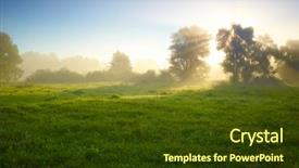  Presentation with foggy forest - Cool new slide set with foggy medow at susrise backdrop and a tawny brown colored foreground