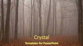  Presentation with foggy forest - Cool new PPT theme with foggy misty forest in late autumn fallen leaves backdrop and a tawny brown colored foreground