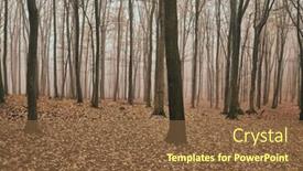  Presentation with foggy forest - Presentation theme enhanced with foggy-misty-forest-in-late background and a tawny brown colored foreground