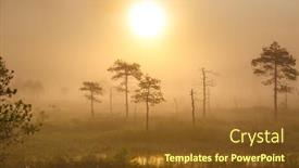  Presentation with foggy - Cool new presentation with foggy-morning-at-the-uniquie backdrop and a tawny brown colored foreground