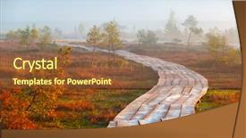  Presentation with swamp - PPT layouts consisting of foggy morning at yelnya swamp background and a tawny brown colored foreground