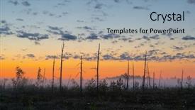  Presentation with swamp - Cool new presentation theme with foggy morning at yelnya swamp backdrop and a light blue colored foreground