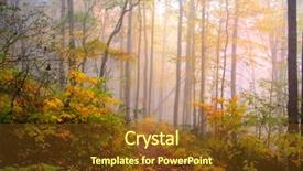  Presentation with foggy - PPT theme consisting of foggy morning background and a tawny brown colored foreground