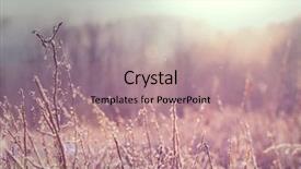  Presentation with sunny doll - Cool new slide deck with foggy rural scene - sunny autumn meadow backdrop and a coral colored foreground