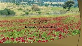  Presentation with rural tourism - Presentation design with foggy-spring-day-in-israel background and a coral colored foreground