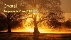  Presentation with foggy - Presentation design consisting of foggy-spring-morning background and a tawny brown colored foreground