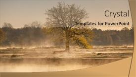  Presentation with foggy - Slides featuring foggy-spring-morning background and a coral colored foreground