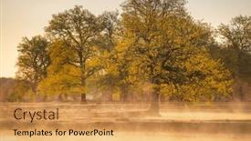  Presentation with foggy - Presentation theme with foggy-spring-morning background and a yellow colored foreground