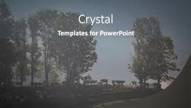  Presentation with foggy - PPT theme featuring foggy summer landscape in the mountains salciua romania background and a gray colored foreground