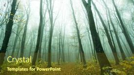  Presentation with foggy forest - Beautiful PPT theme featuring foggy sunny morning in autumn forest fairytale forest sunlight and shadows backdrop and a tawny brown colored foreground