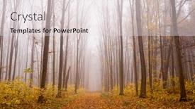  Presentation with forest morning - Colorful presentation design enhanced with foggy sunny morning in autumn forest fairytale forest sunlight and shadows backdrop and a lemonade colored foreground