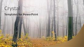  Presentation with forest morning - Beautiful slide deck featuring foggy sunny morning in autumn forest fairytale forest sunlight and shadows backdrop and a light gray colored foreground