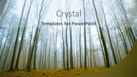  Presentation with forest morning - Beautiful presentation featuring foggy-sunny-morning-in-autumn backdrop and a sky blue colored foreground