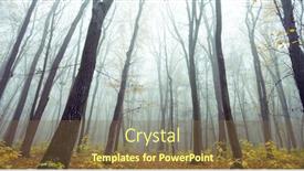  Presentation with forest morning - PPT theme having foggy-sunny-morning-in-autumn background and a tawny brown colored foreground