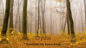  Presentation with forest morning - Audience pleasing slides consisting of foggy-sunny-morning-in-autumn backdrop and a gold colored foreground