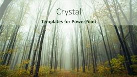  Presentation with foggy forest - Slides consisting of foggy-sunny-morning-in-autumn background and a sky blue colored foreground