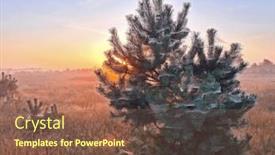  Presentation with foggy - Presentation theme consisting of foggy-sunrise-with-pine-tree background and a tawny brown colored foreground
