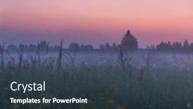  Presentation with foggy - Audience pleasing presentation consisting of foggy-sunset-in-summer-field backdrop and a tawny brown colored foreground