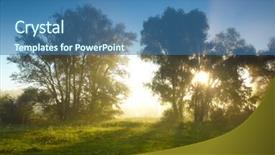  Presentation with tree sky trees green - Colorful PPT theme enhanced with medow grass - foggy trees at susrise backdrop and a ocean colored foreground