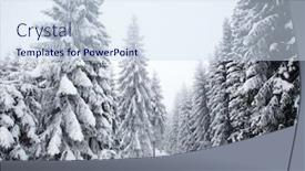  Presentation with foggy - Beautiful PPT layouts featuring foggy winter landscape with firs backdrop and a sky blue colored foreground