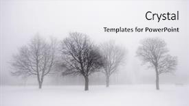  Presentation with winter scene - Slide deck consisting of foggy winter scene with leafless background and a white colored foreground