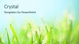  Presentation with water drops - Beautiful presentation design featuring folha com gota de agua - grass with water drops closeup backdrop and a cool aqua colored foreground