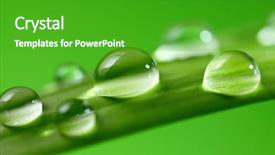  Presentation with green leaf water drops - Presentation theme enhanced with folha com gota de agua - pure water drops on green background and a shamrock green colored foreground