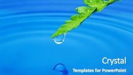  Presentation with water leaf - Colorful slide set enhanced with folha com gota de agua - water drop on fresh green backdrop and a teal colored foreground
