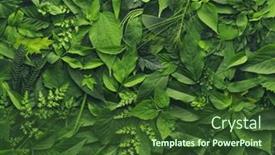  Presentation with biodiversity - Presentation design consisting of foliage-background-with-a-variety background and a tawny brown colored foreground