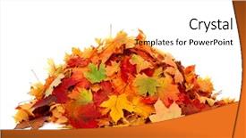  Presentation with fall colors - Amazing theme having foliage colors in the fall backdrop and a white colored foreground