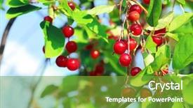  Presentation with green foliage - Presentation design enhanced with foliage in summer garden prunus background and a tawny brown colored foreground