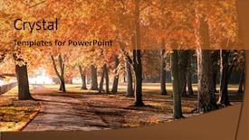  Presentation with park - Amazing slides having foliage in the autumn park backdrop and a gold colored foreground