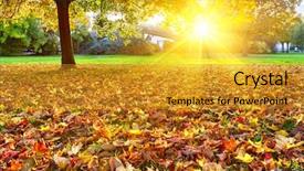  Presentation with colorful odontology mold - Theme enhanced with safety slips trips falls - beautiful young woman falling background and a light blue colored foreground.