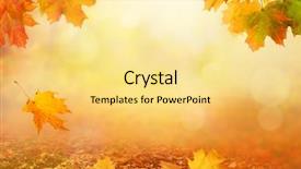  Presentation with autumn leaves falling - Audience pleasing PPT layouts consisting of foliage in the park fall backdrop and a yellow colored foreground