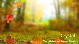  Presentation with autumn leaves falling - Colorful slide set enhanced with foliage in the park fall backdrop and a  colored foreground