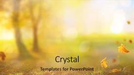  Presentation with leaves falling - Amazing theme having foliage in the park fall backdrop and a gold colored foreground