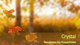  Presentation with autumn leaves falling - Audience pleasing PPT theme consisting of foliage in the park fall backdrop and a tawny brown colored foreground
