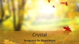  Presentation with falling leaves - Theme enhanced with foliage in the park fall background and a gold colored foreground