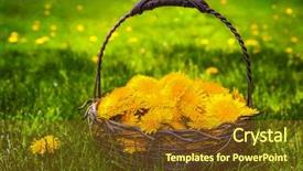  Presentation with dandelion - Slide set having folks - basket dandelion outdoors background and a tawny brown colored foreground