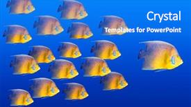  Presentation with rowing - Theme having rowing team - big fish leading others background and a cobalt blue colored foreground