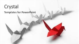  Presentation with crane - Presentation theme consisting of origami paper crane on white background and a white colored foreground