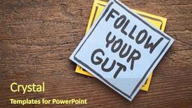  Presentation with gut - Beautiful presentation featuring follow your gut advice backdrop and a tawny brown colored foreground