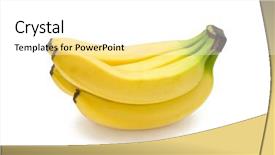  Presentation with bunch - Colorful slides enhanced with foo - bunch of bananas backdrop and a  colored foreground