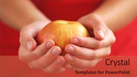  Presentation with childrens hands - Cool new slide deck with free power points - person standing by the ocean backdrop and a black colored foreground.