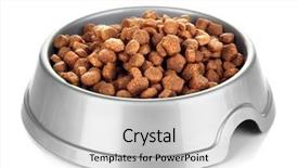  Presentation with dog food - Cool new slide deck with food - dry dog treats in bowl backdrop and a light gray colored foreground