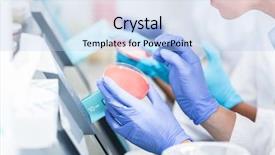  Presentation with food analysis - Amazing slide set having food analysis - lab technicians analyzing bacteria cultures backdrop and a light blue colored foreground