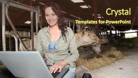  Presentation with cyber stalking computer laptop suffering - PPT layouts with food analysis - veterinarian in barn with laptop background and a tawny brown colored foreground