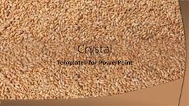  Presentation with food grains - PPT layouts enhanced with food-background-with-wheat-grains background and a coral colored foreground