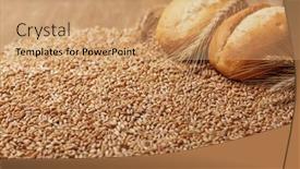  Presentation with food grains - Amazing slide deck having food-background-with-wheat-grains backdrop and a coral colored foreground
